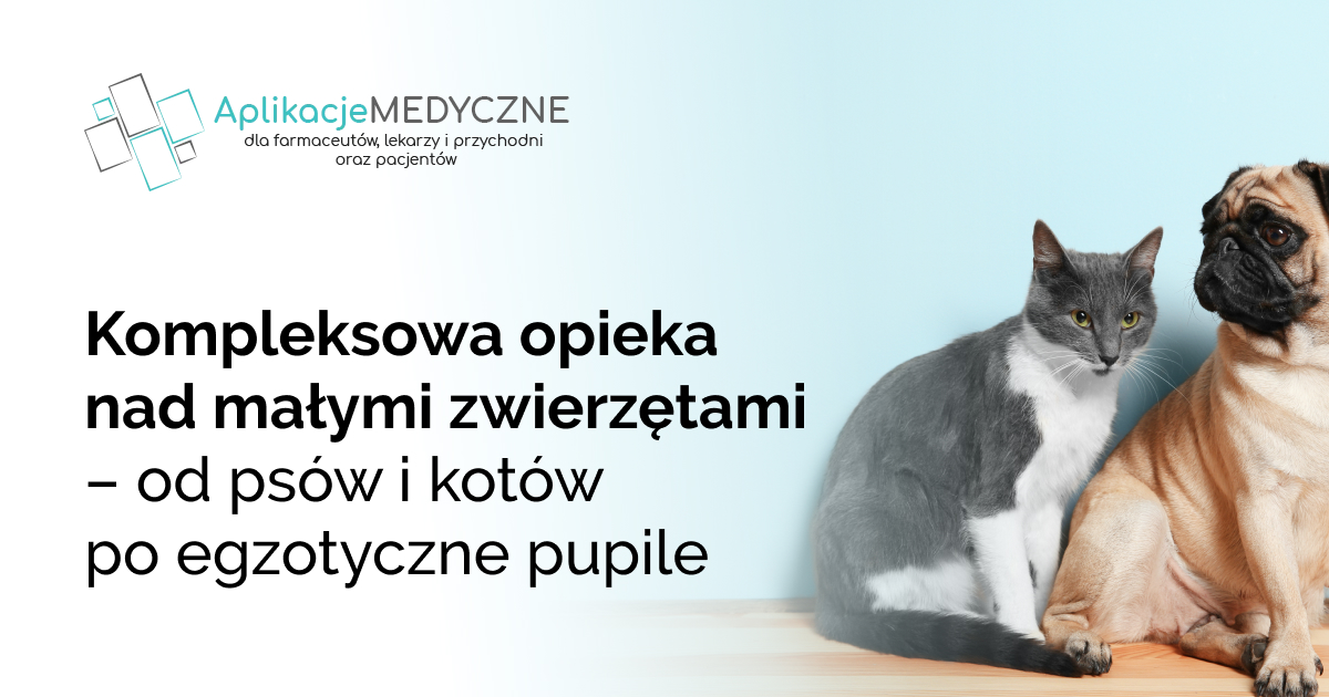 Kompleksowa opieka nad małymi zwierzętami – od psów i kotów po egzotyczne pupile